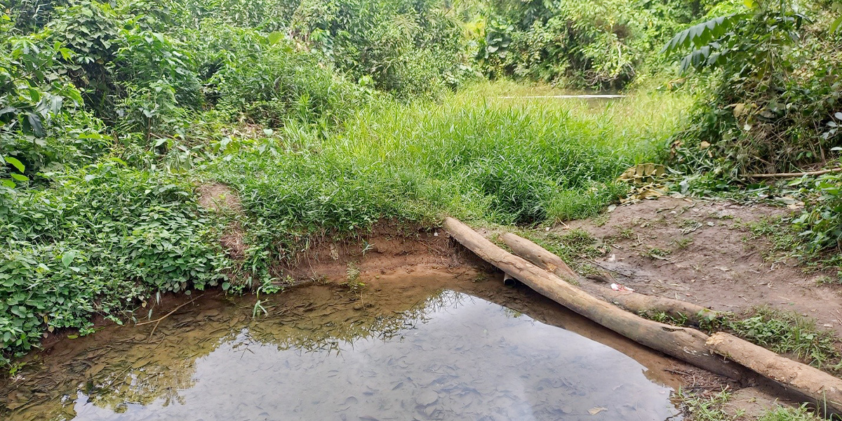 Les ombres le long du Nyong : démasquer la menace silencieuse de l'ulcère de Buruli à Akonolinga et Ayos